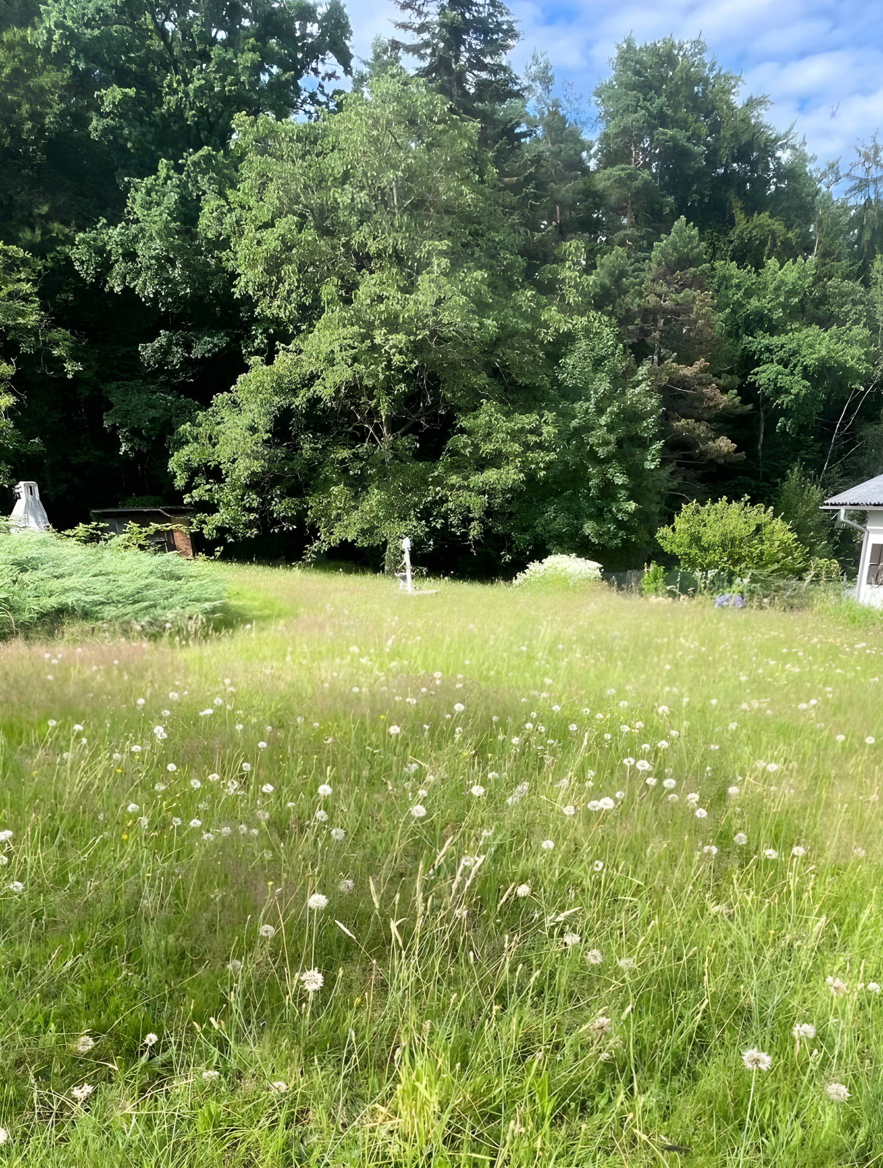 Nachher – gepflegte Gartenfläche